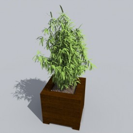 Bamboo 3D Object | FREE Artlantis Objects Download